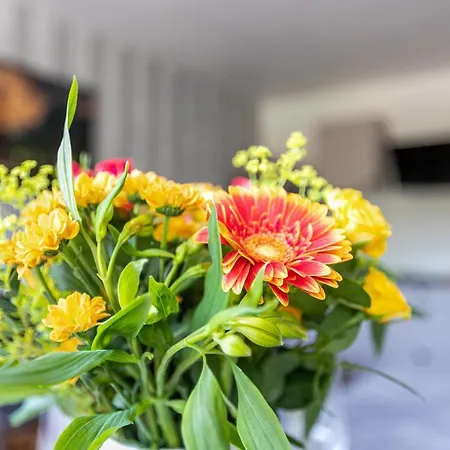 Mit Badestrand Appartamento *